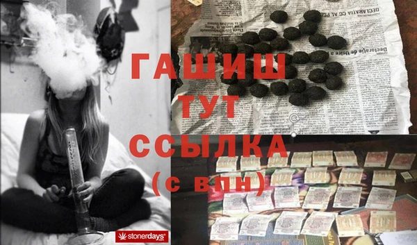 PSILOCYBIN Алзамай