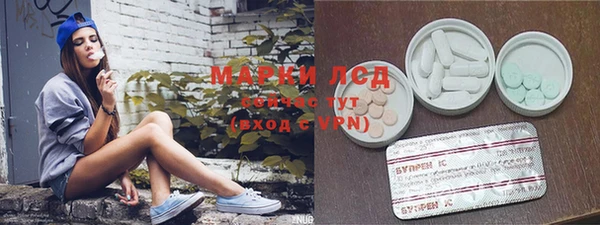 ПСИЛОЦИБИНОВЫЕ ГРИБЫ Алексин