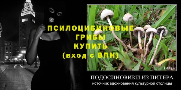 PSILOCYBIN Алзамай